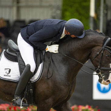 Diederik van Silfhout wint ZZ-Zwaar titel met het jongste paard
